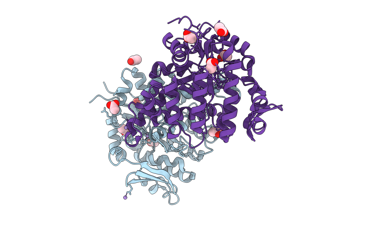 6OMP image