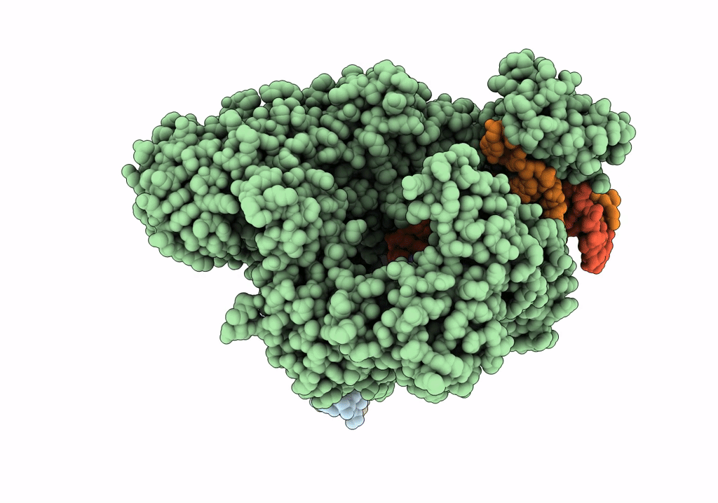 6OMV image