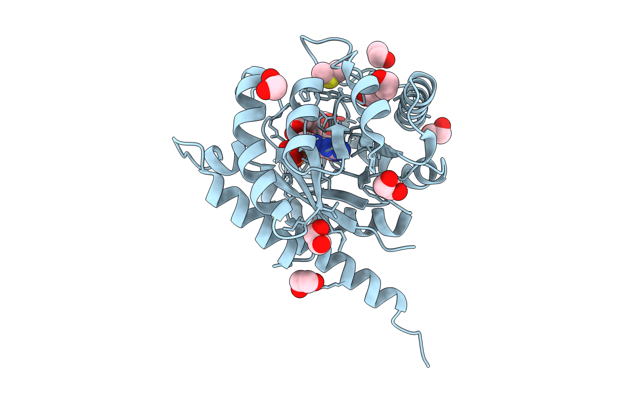 6OMZ image