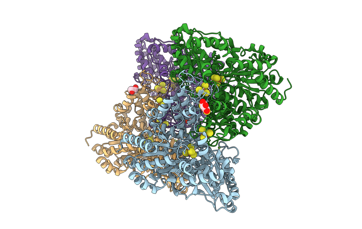 6ONC image