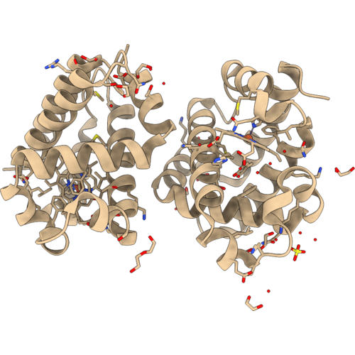 6ONR image