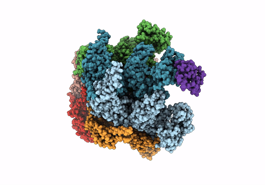 6OPC image