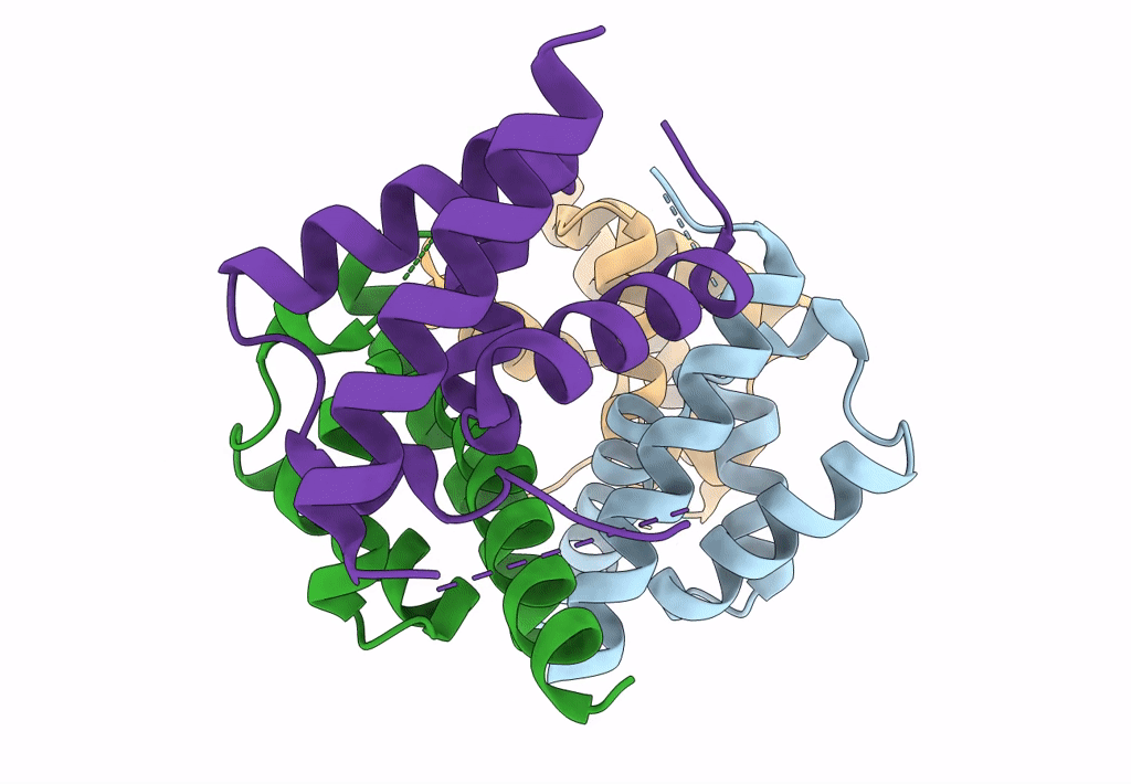 6OPF image
