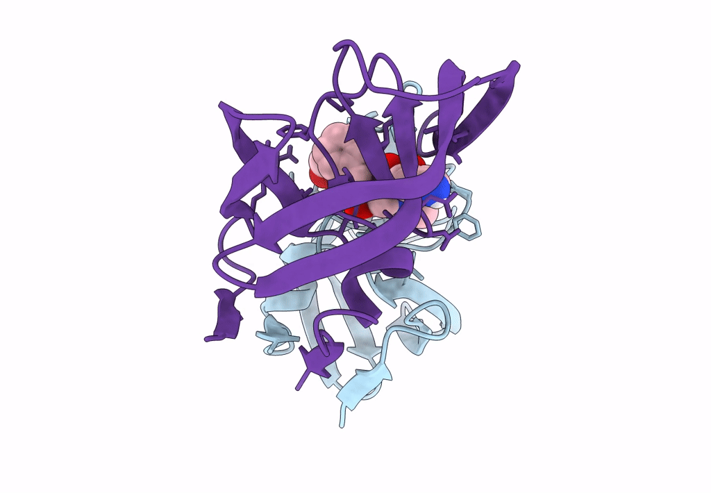 6OPX image