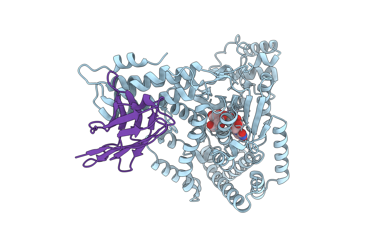 6OQ7 image