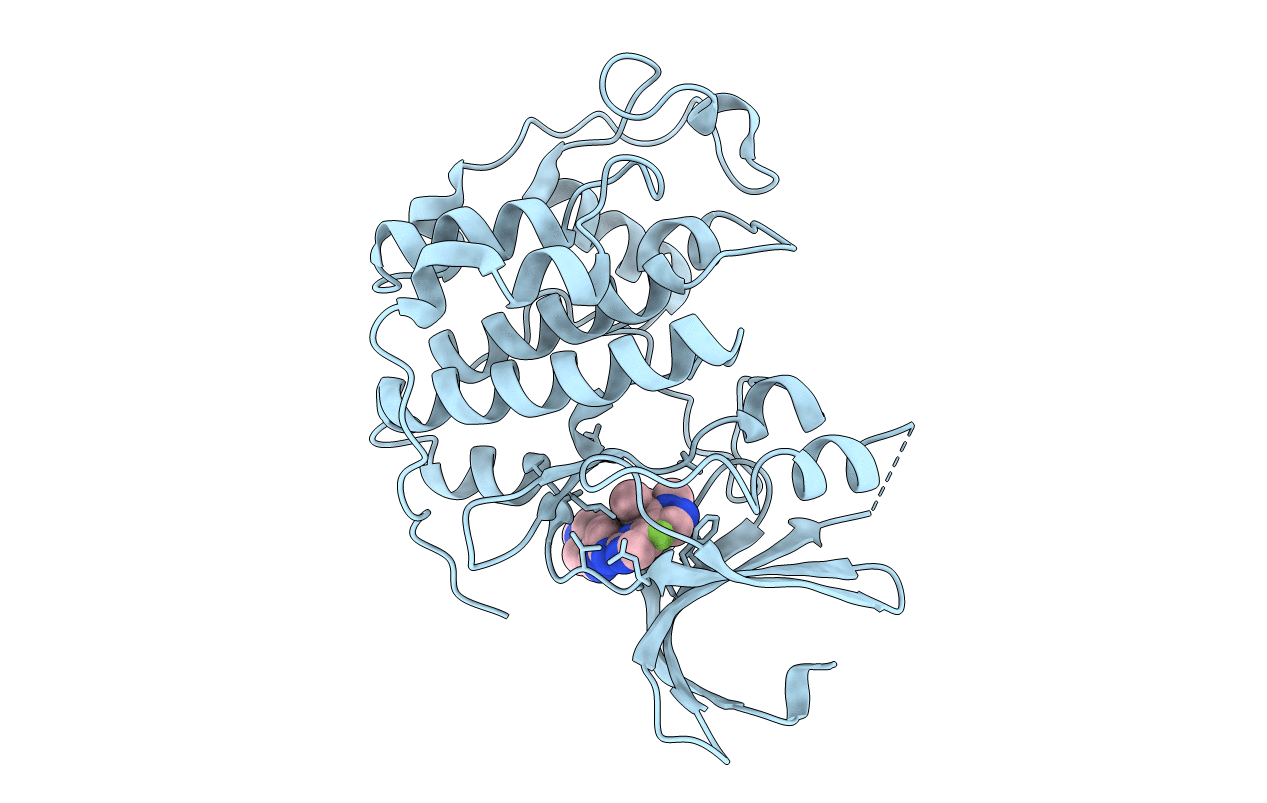 6OQI image