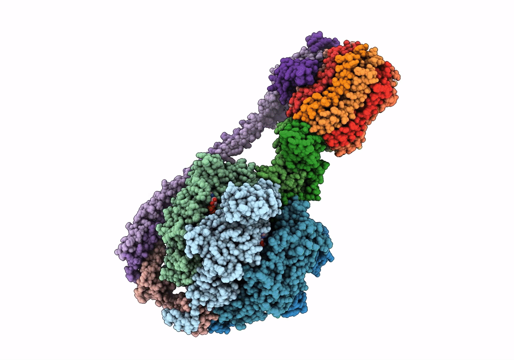 6OQR image