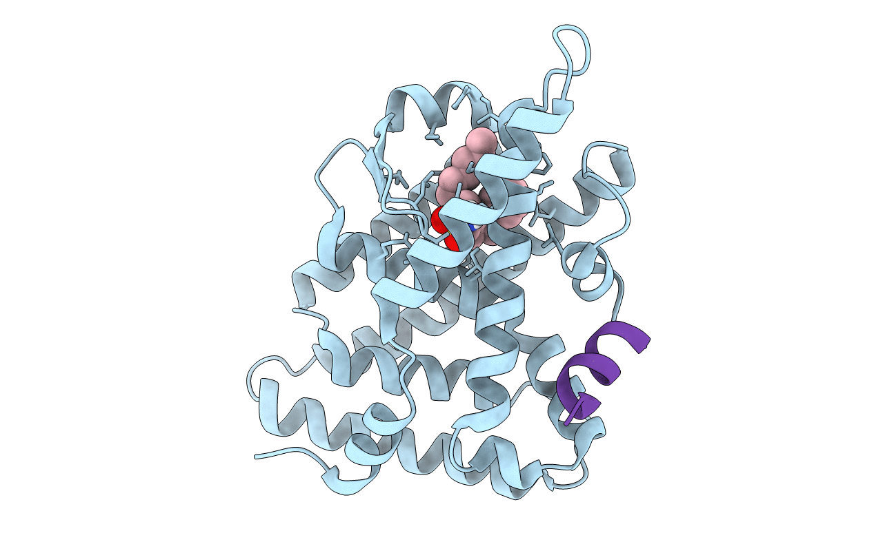 6OQX image