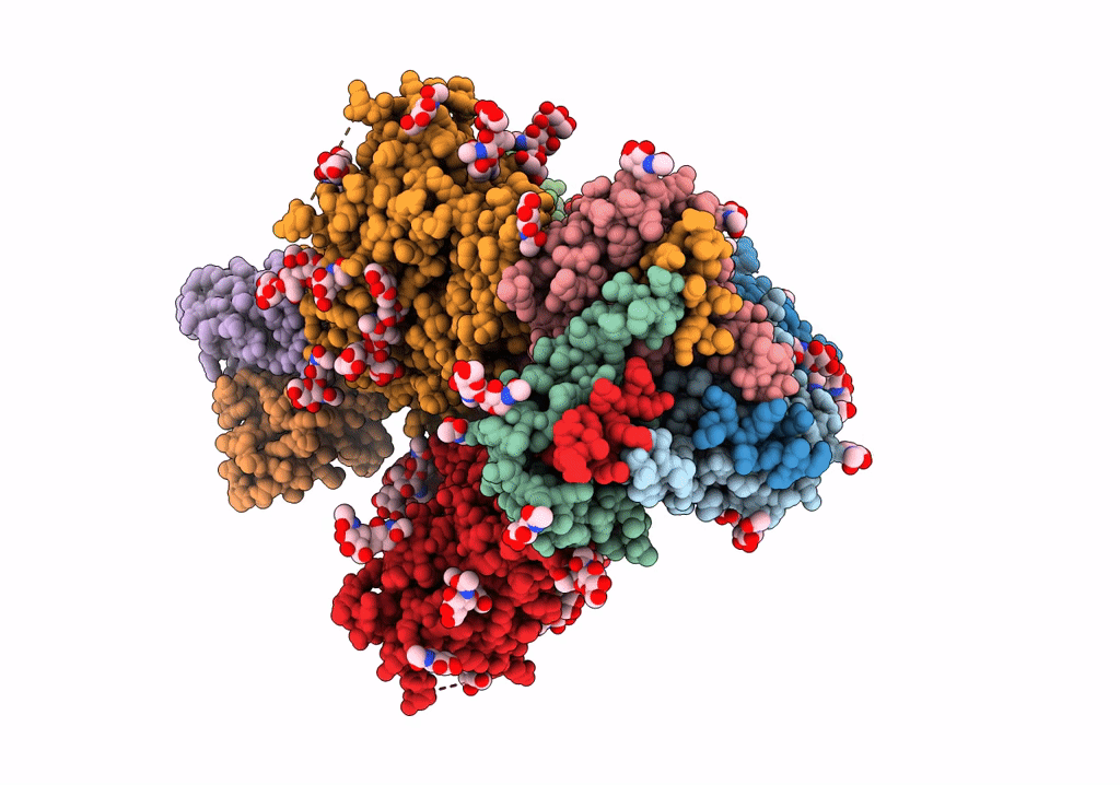 6ORP image