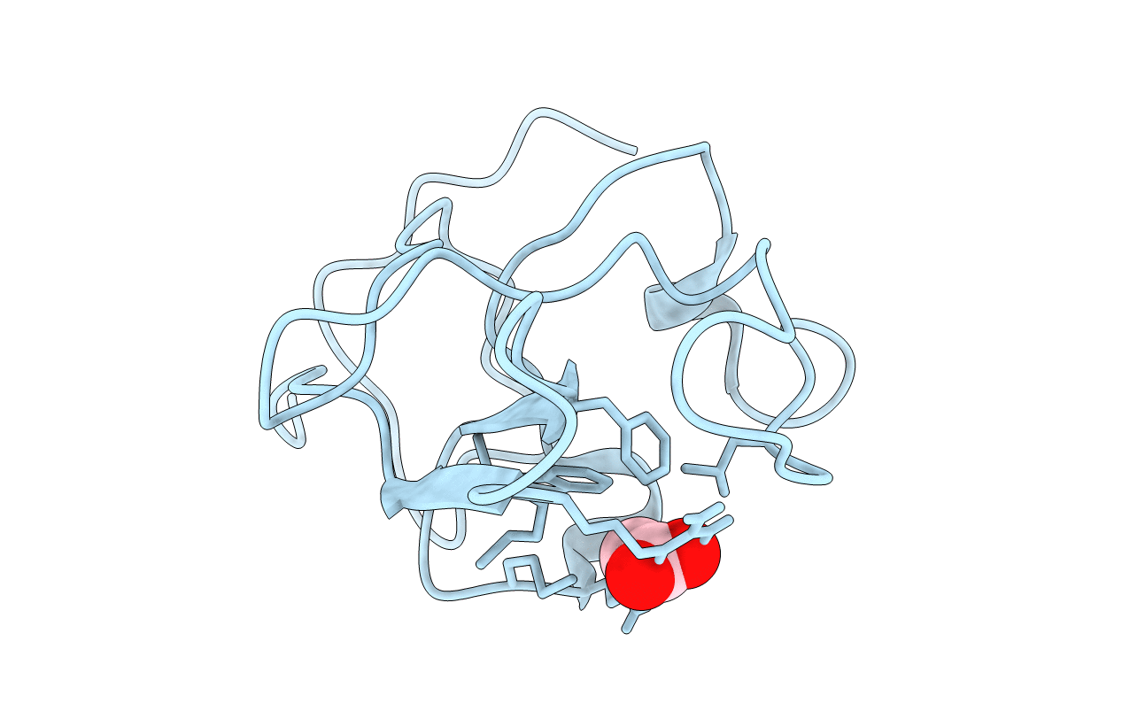 6OSN image