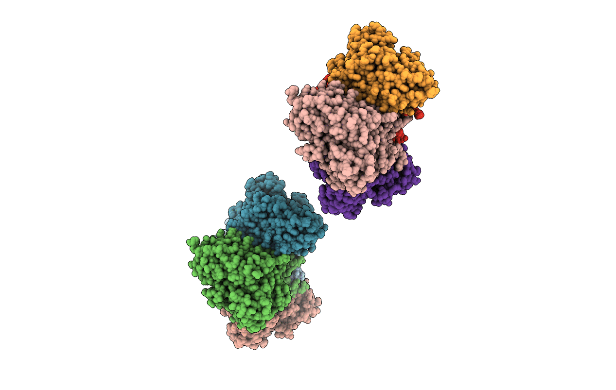 6OVG image