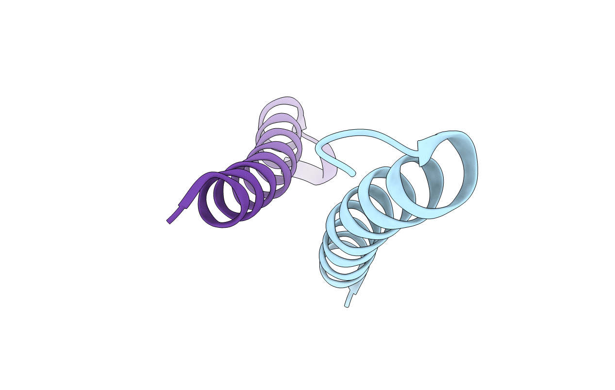 6OVV image