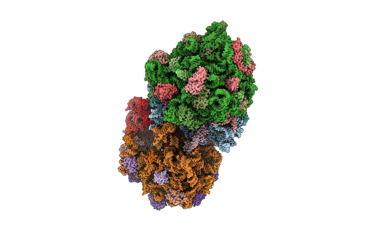 6OXA image