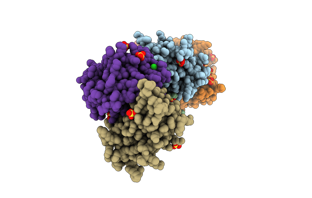 6OXB image