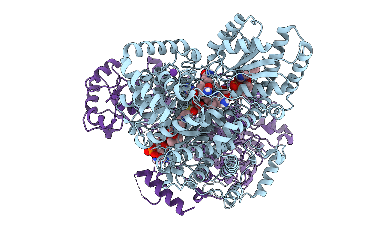 6OXD image
