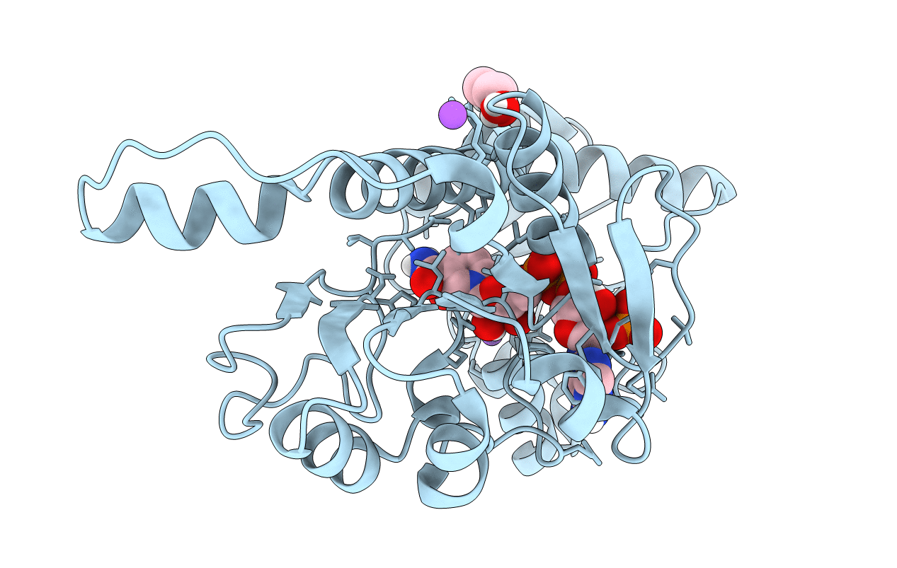6OXN image