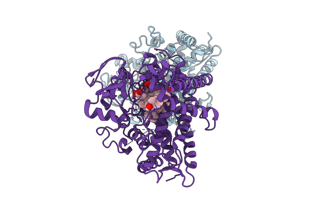 6OYV image