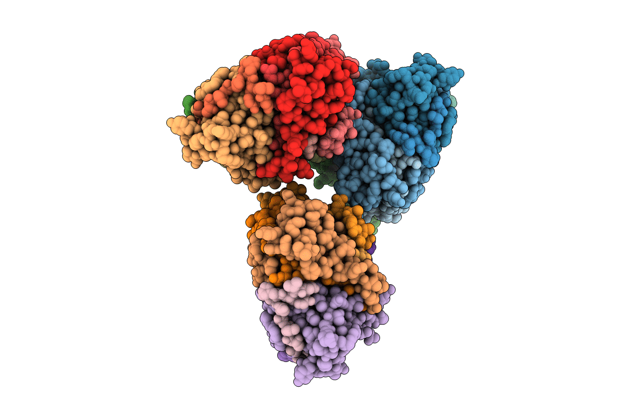 6P02 image