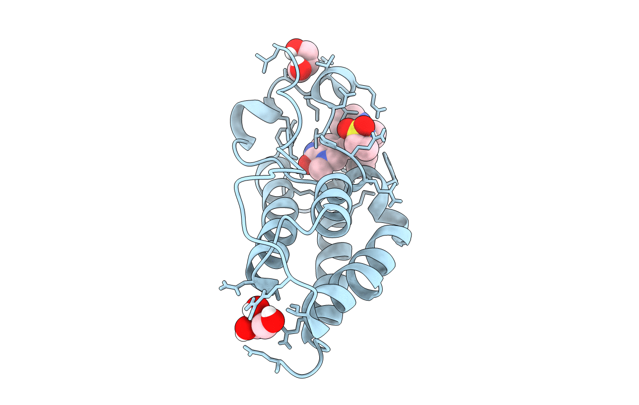 6P05 image