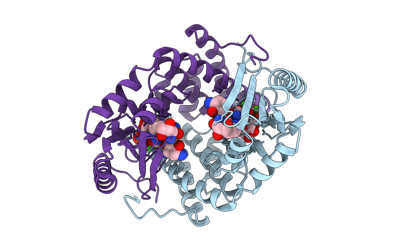 6P06 image