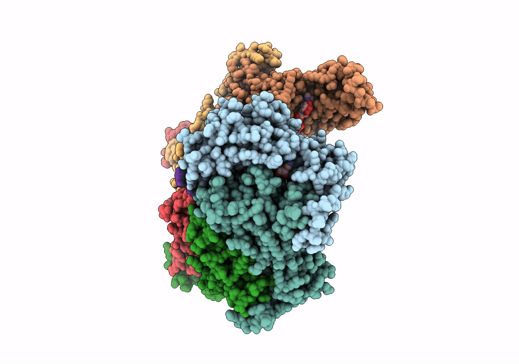 6P07 image