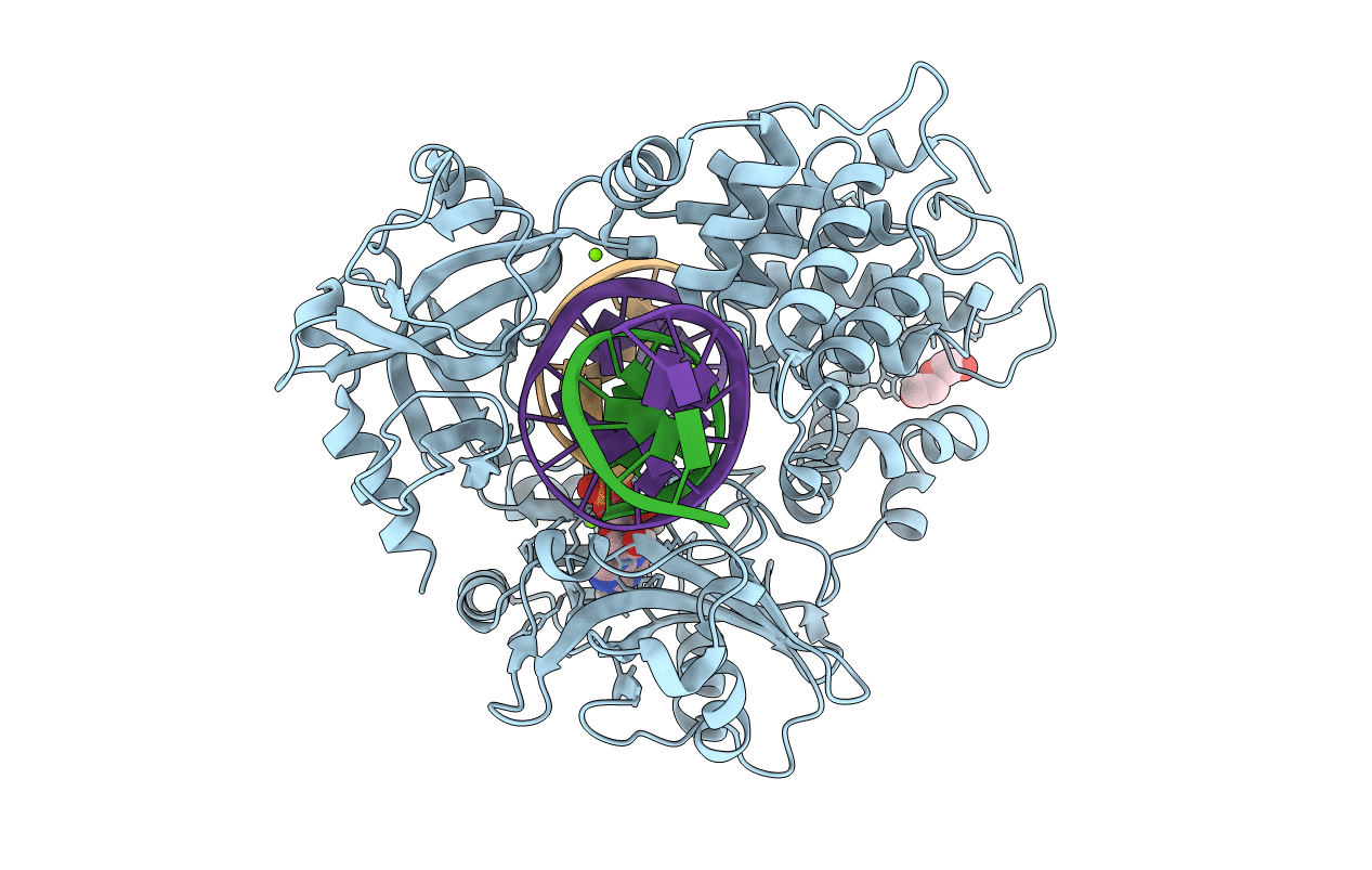 6P0B image