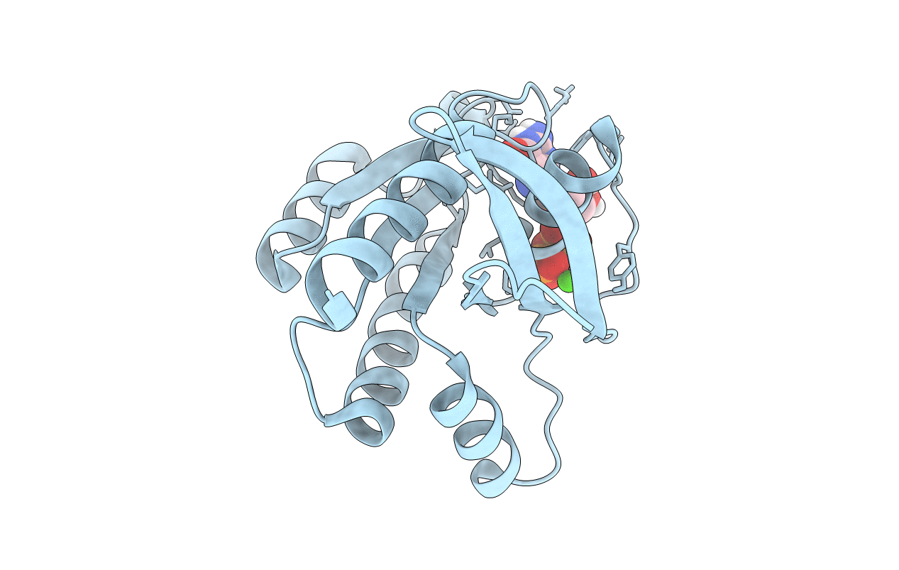 6P0J image