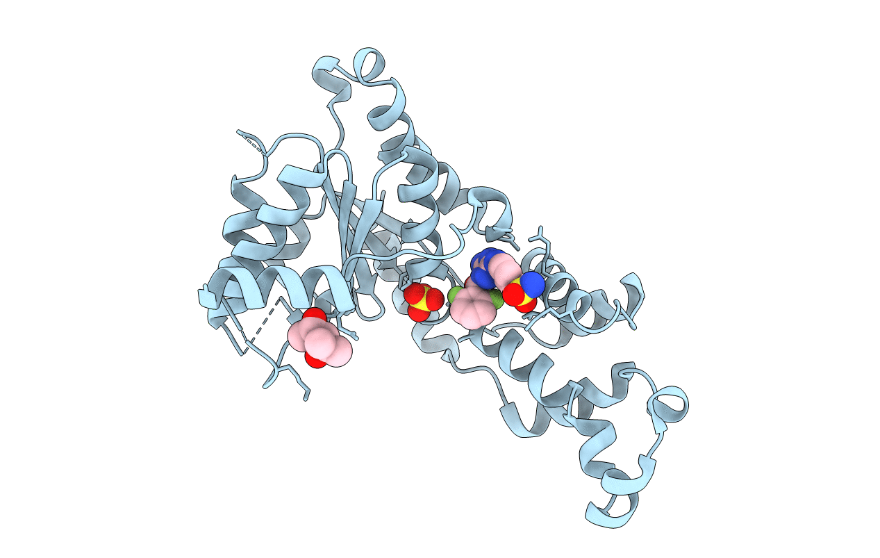 6P11 image