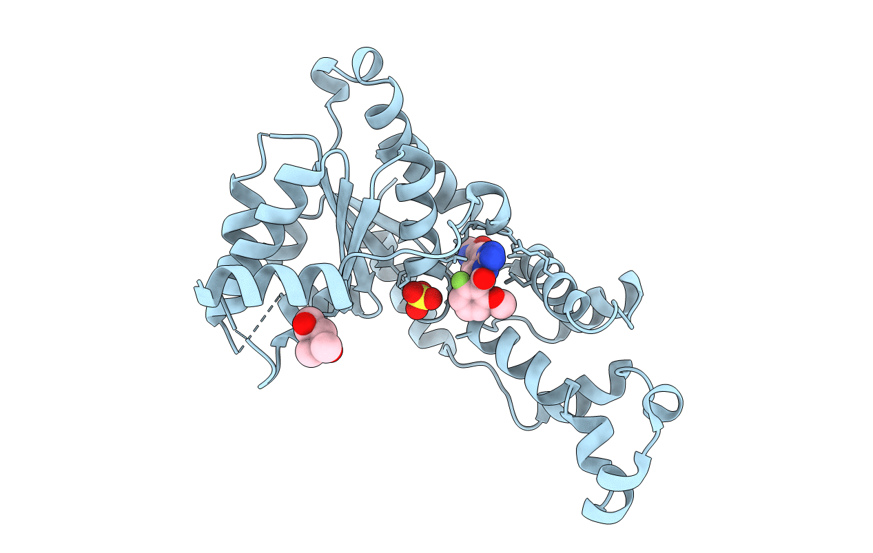 6P13 image