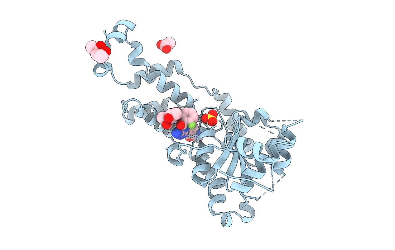 6P14 image