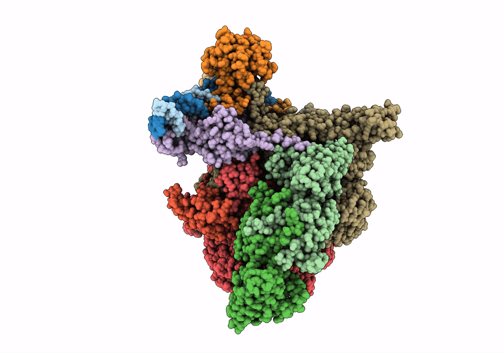 6P18 image