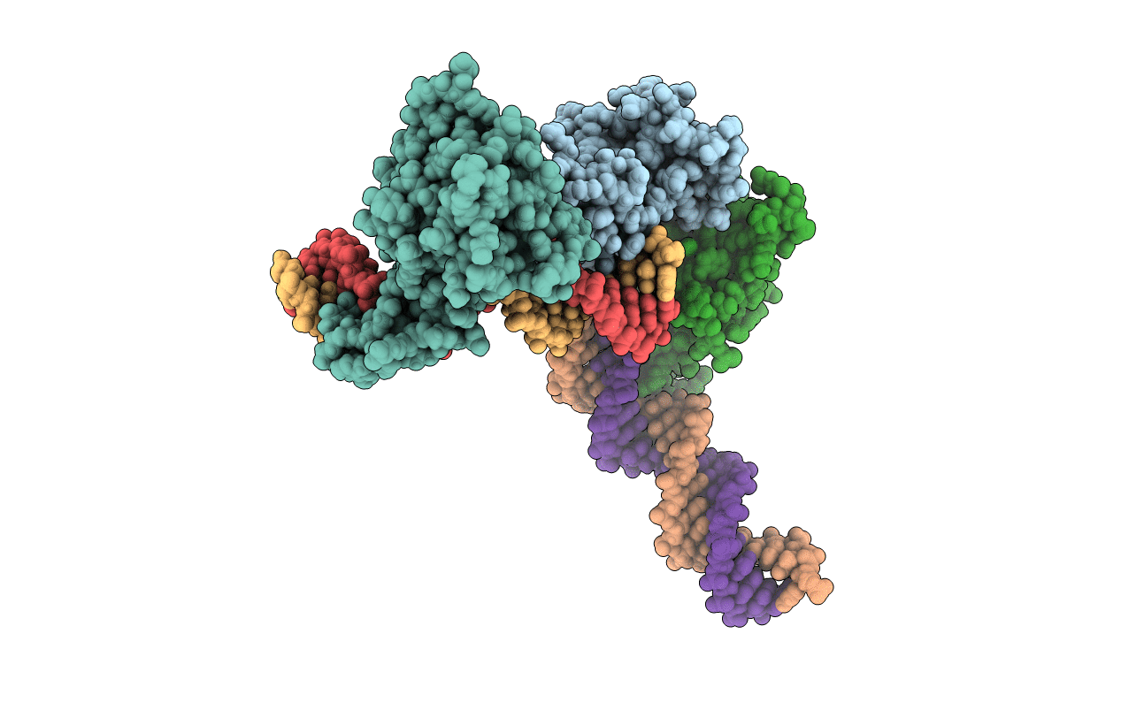 6P1A image