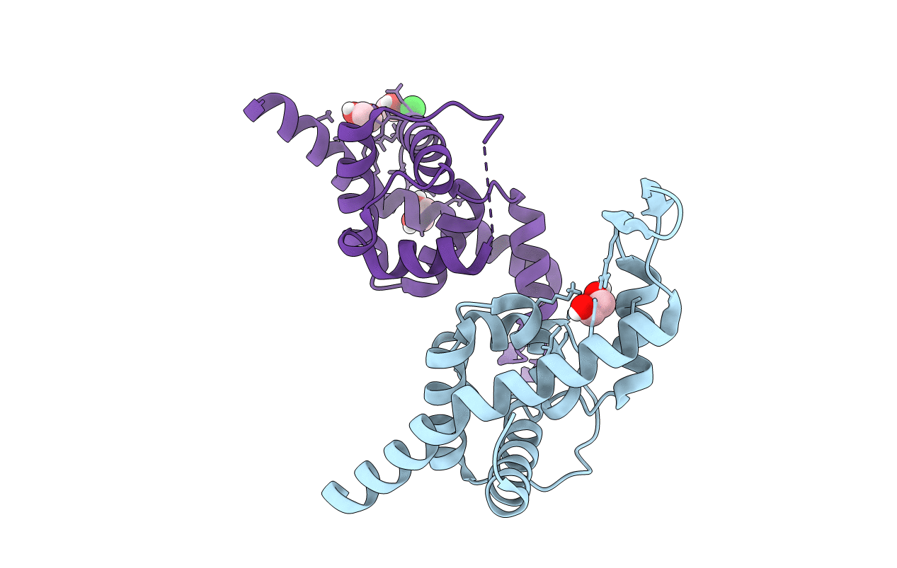 6P1B image
