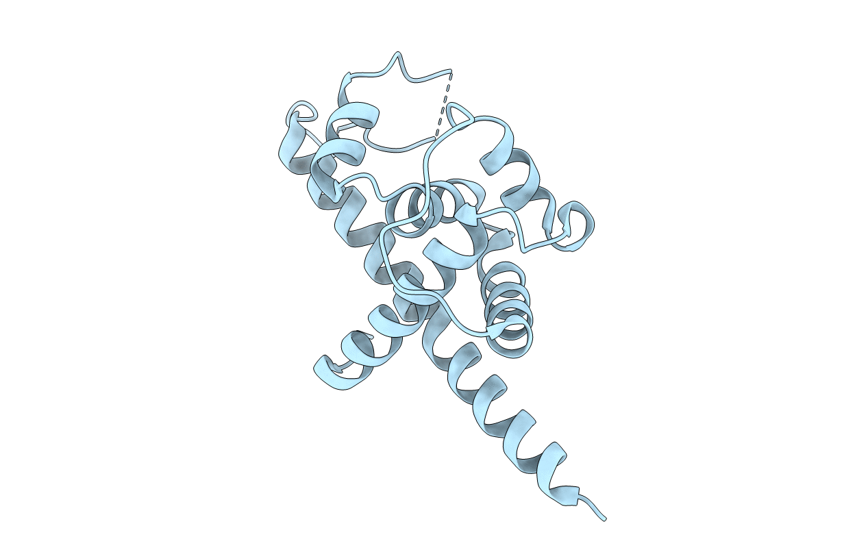 6P1C image