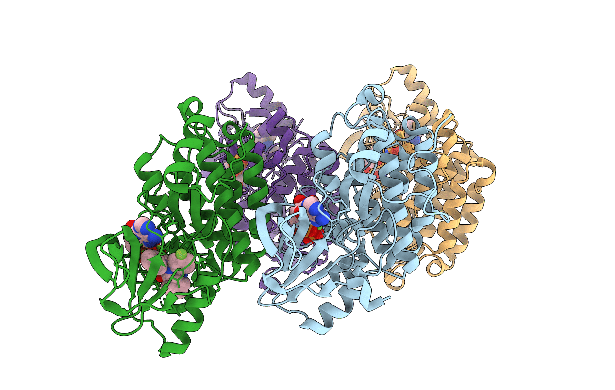 6P1D image