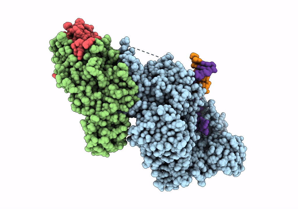 6P1H image