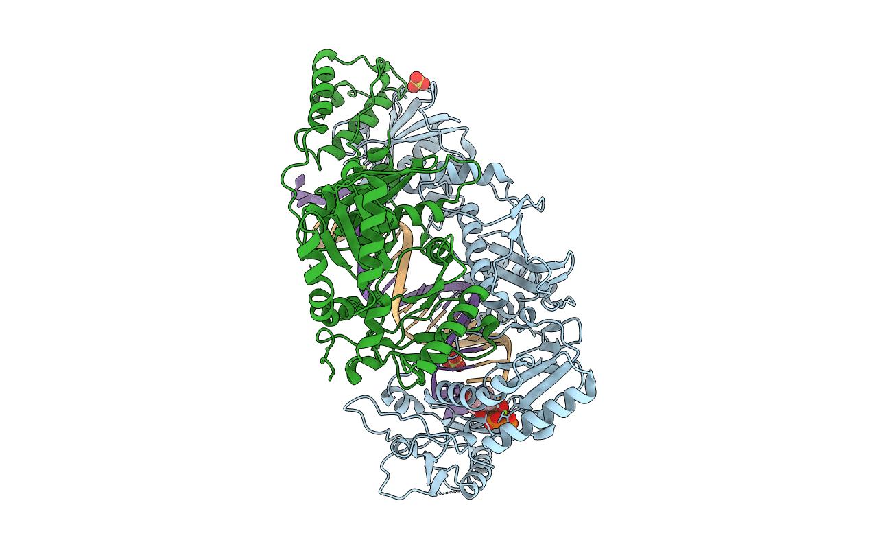 6P1I image