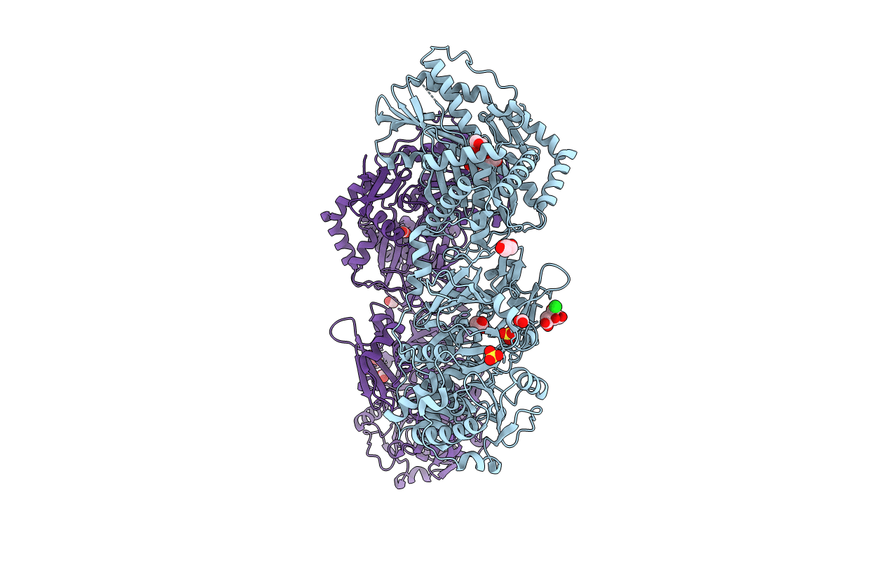 6P1J image