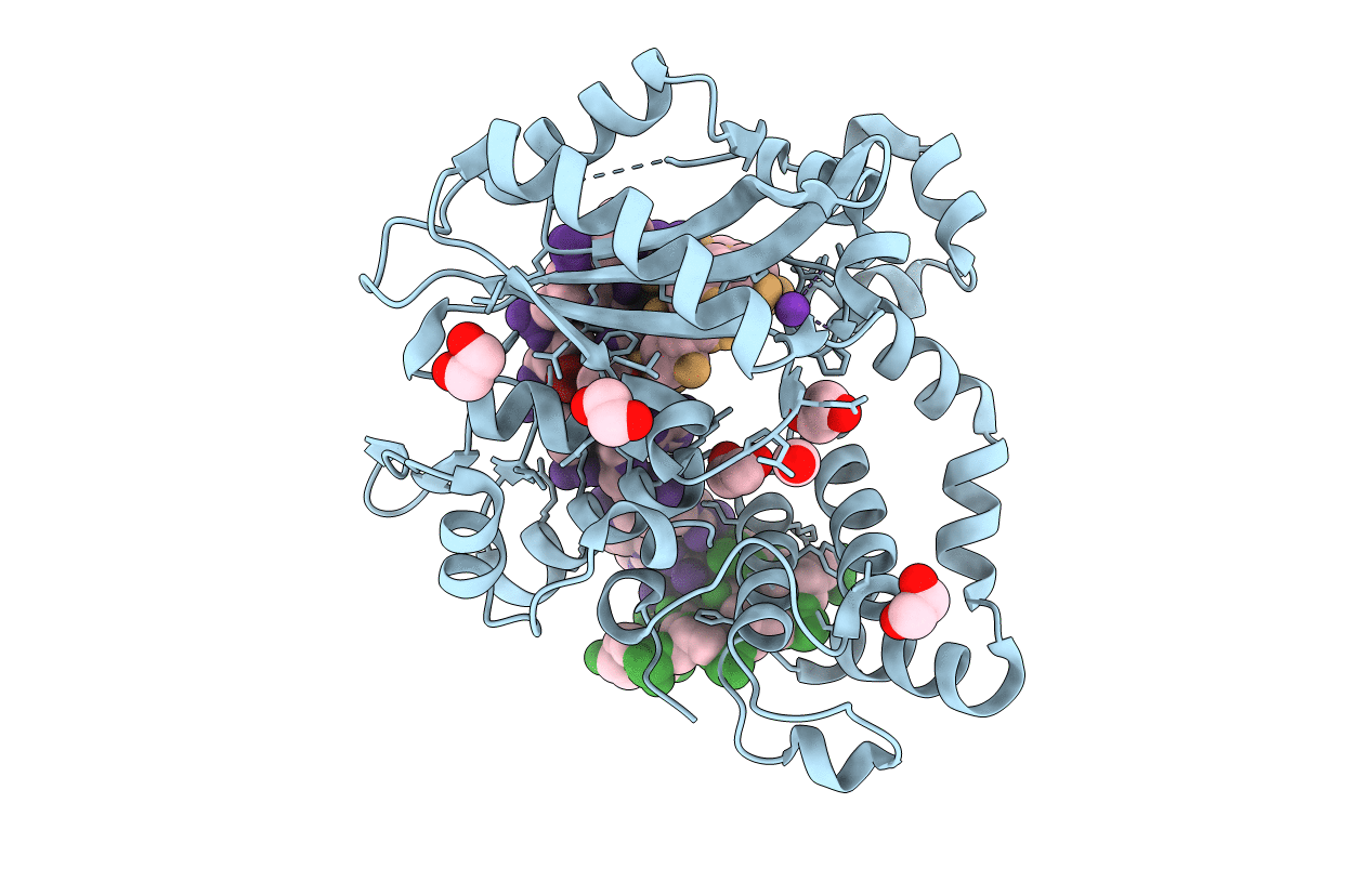6P1M image