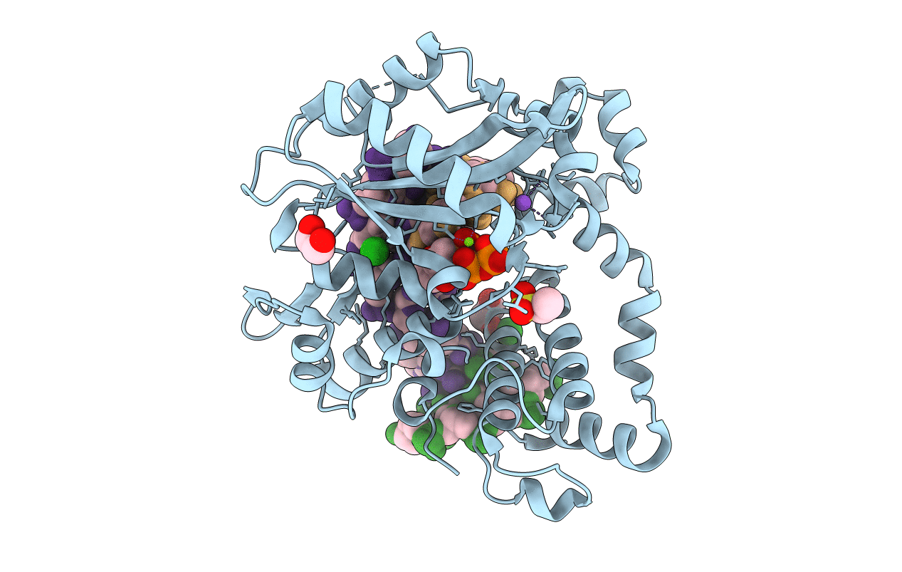 6P1N image