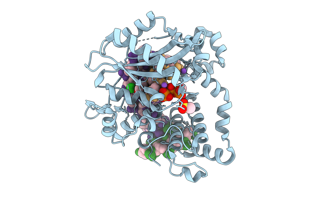 6P1S image