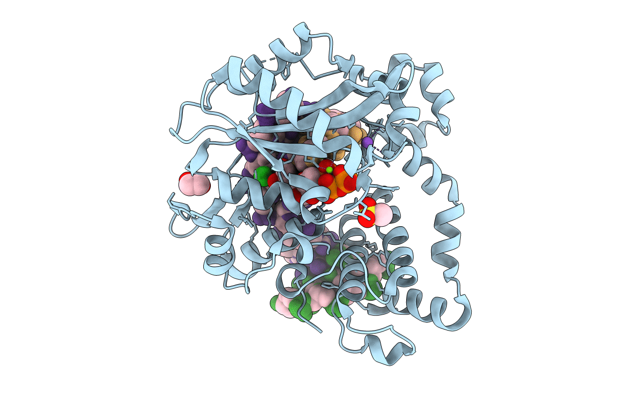 6P1T image