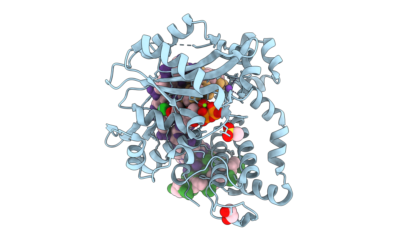 6P1V image