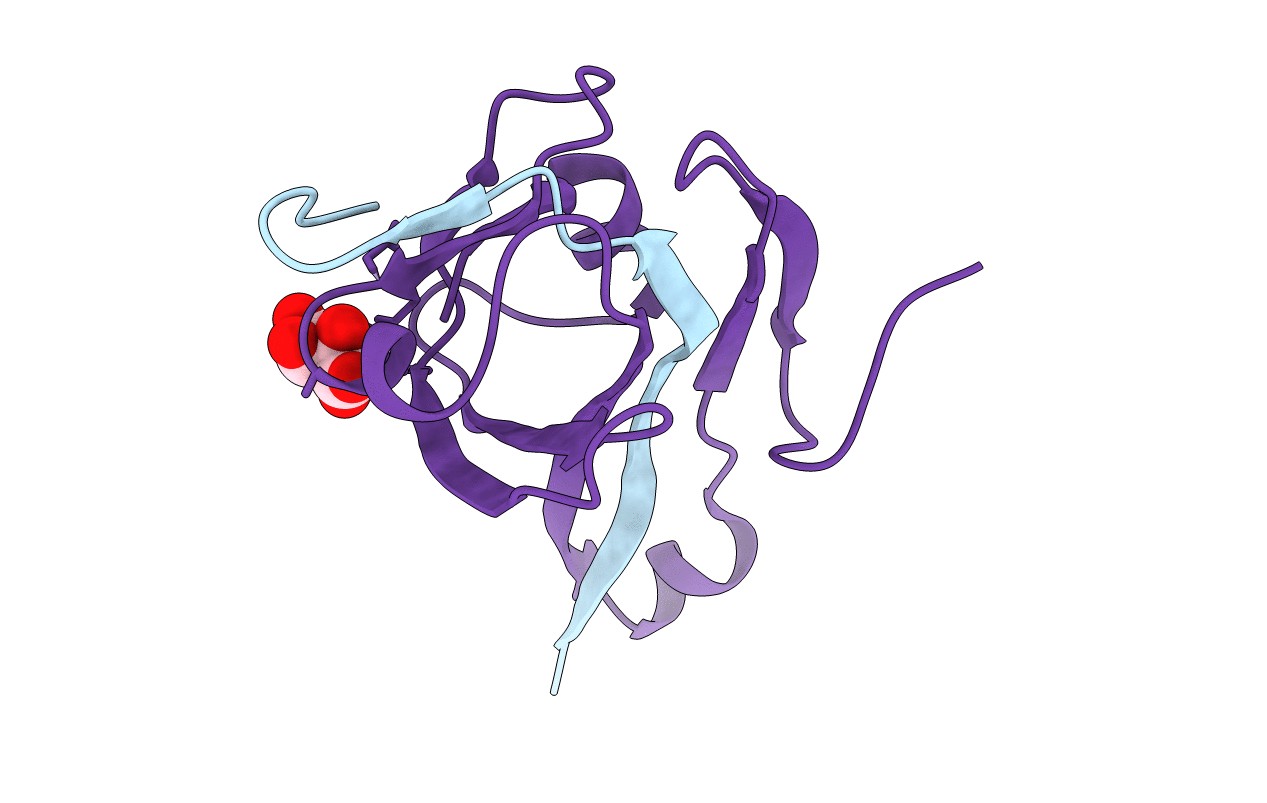 6P1Y image