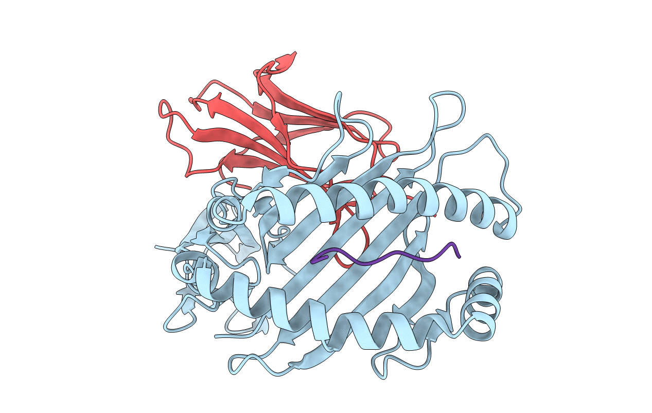 6P23 image