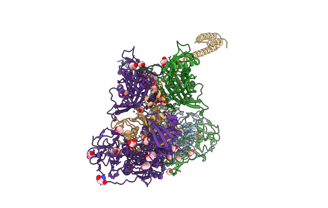 6P24 image