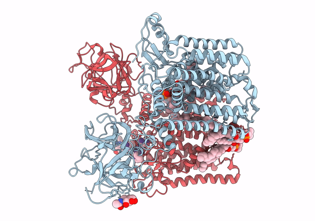 6P25 image