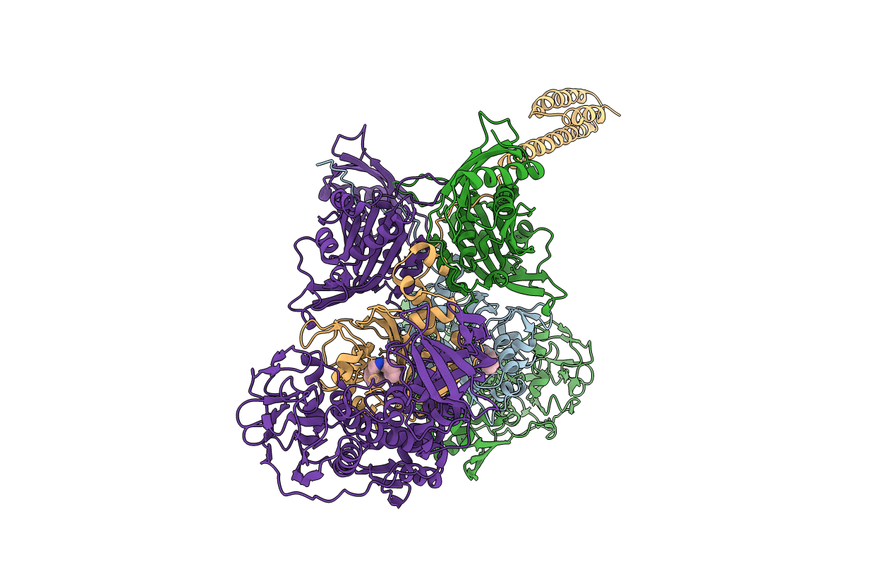 6P26 image