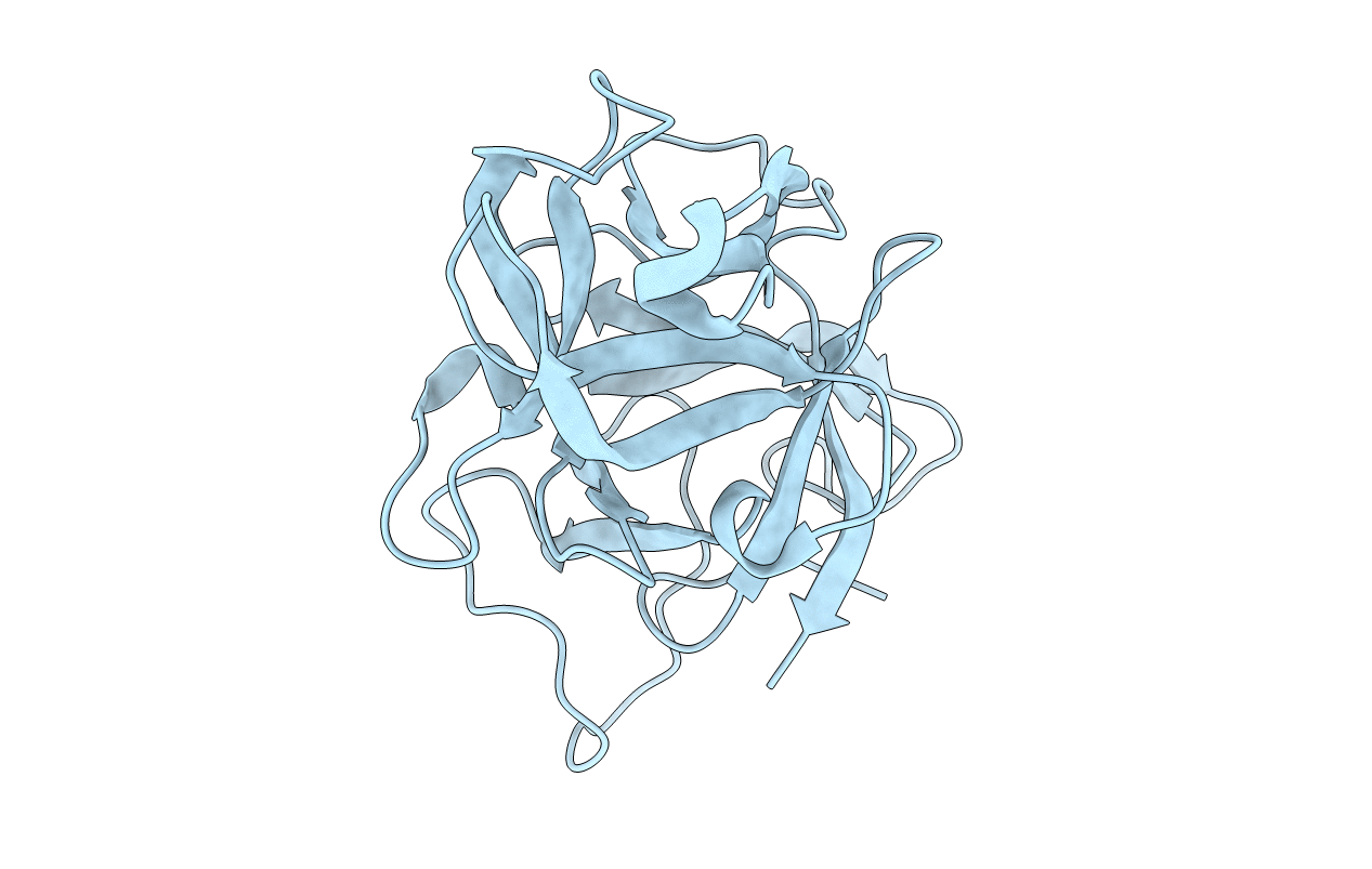 6P28 image
