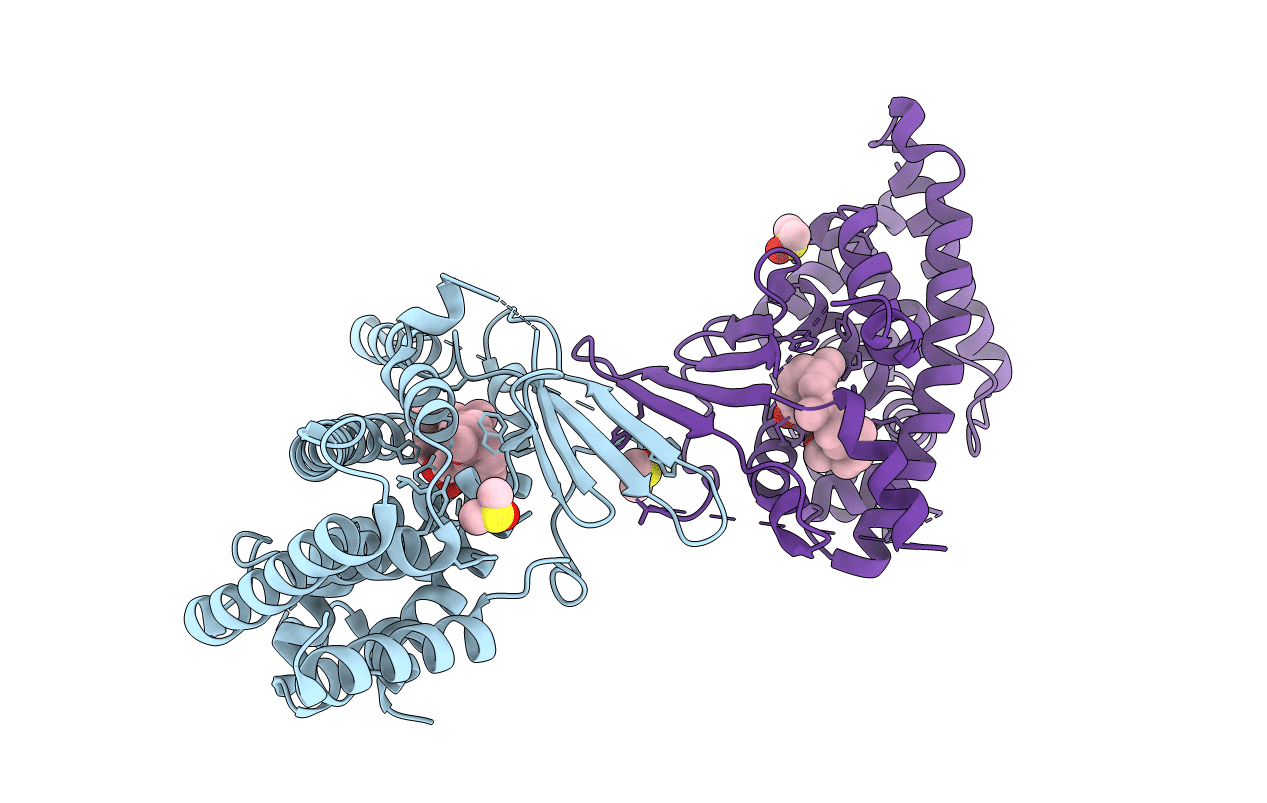 6P2B image